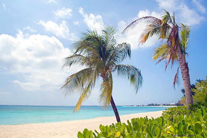 14 modi per immergersi nelle Isole Cayman 